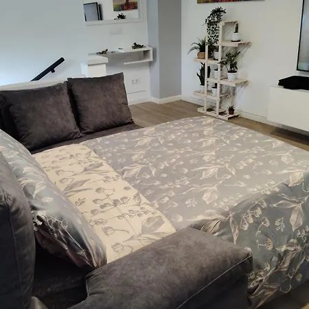 Plaza Palmeras2 Apartment Burjassot